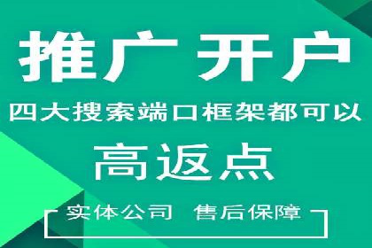 某电商平台的SEM营销推广实战经验